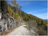 Planica (Planinšek) - Planina Podvežak